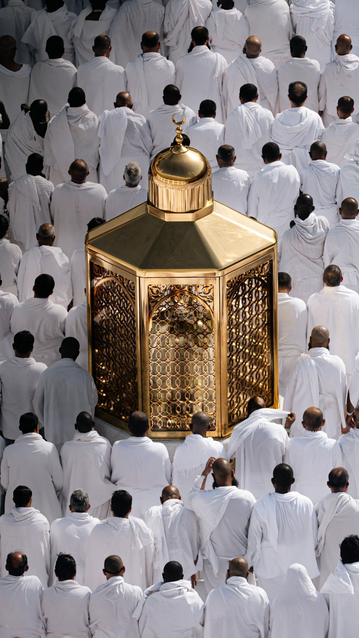 صورة من المعرض